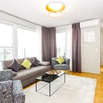 Rent 2 bedroom apartment of 915 m² in vienna