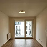 Rent 2 bedroom apartment of 58 m² in Pilsen