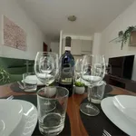 Rent 2 bedroom apartment of 60 m² in Como