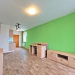 Rent 2 bedroom apartment of 46 m² in Praha