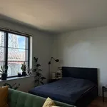 Rent 1 bedroom apartment in Brooklyn