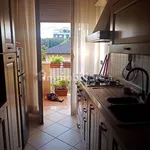 Rent 2 bedroom apartment of 45 m² in Rimini