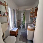 Rent 2 bedroom apartment of 50 m² in Milano