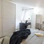 Rent 1 bedroom apartment in rome