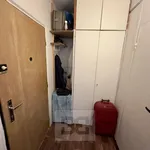 Rent 1 bedroom apartment in Praha 4