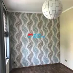 Rent 1 bedroom house of 700 m² in Frýdlant nad Ostravicí