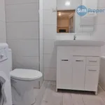 Rent 1 bedroom apartment in Brno