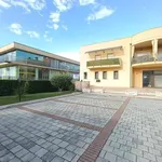 Rent 1 bedroom apartment of 500 m² in Pineto