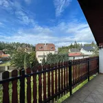 Rent 1 bedroom house of 84 m² in Karlovy Vary