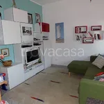 Rent 3 bedroom apartment of 75 m² in Bologna