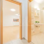 Rent 1 bedroom apartment in Capital City of Prague