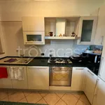 Rent 3 bedroom apartment of 100 m² in Cologno Monzese