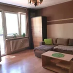 Rent 3 bedroom apartment of 64 m² in Łódź