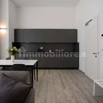 Rent 2 bedroom apartment of 50 m² in Venice