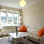 Rent 2 bedroom apartment of 44 m² in Capital City of Prague