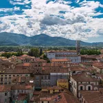 Rent 4 bedroom apartment of 70 m² in Lucca