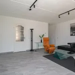 Diabellistraat, Capelle aan den IJssel - Amsterdam Apartments for Rent