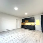 Pronajměte si 2 ložnic/e byt o rozloze 48 m² v České Budějovice