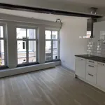 Rent 2 bedroom apartment of 50 m² in 's-Hertogenbosch