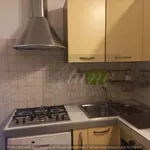 Rent 3 bedroom apartment of 100 m² in Roma