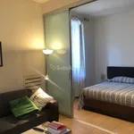 Rent 2 bedroom apartment of 30 m² in Torino