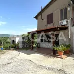 Rent 2 bedroom apartment of 55 m² in Velletri