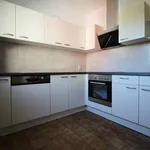 Rent 3 bedroom apartment of 71 m² in Panevėžys