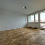 Rent 1 bedroom apartment in Chrudim