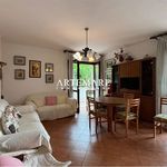 3-room flat via Peschiera, Pietrasanta