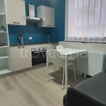 Rent 2 bedroom apartment of 40 m² in Padua