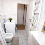 Rent 1 bedroom apartment of 30 m² in Brno