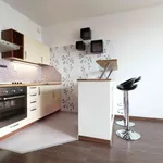 Rent 1 bedroom apartment in Praha 3