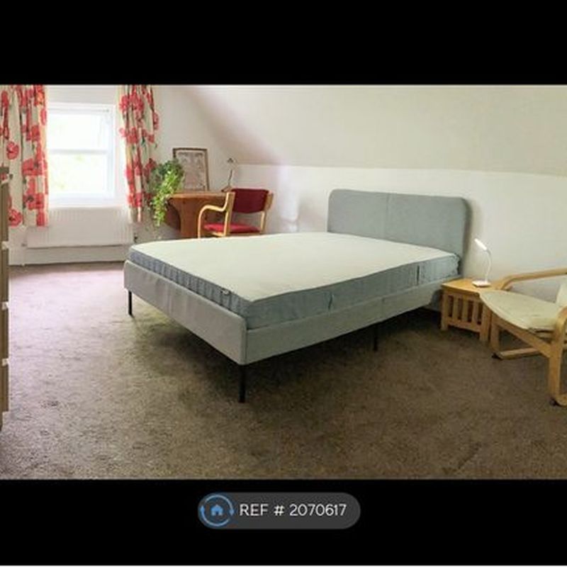 Room to rent in Dogsthorpe Road, Peterborough PE1