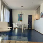 Rent 2 bedroom apartment of 90 m² in Rotterdam