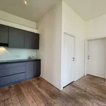 Huur 1 slaapkamer huis van 30 m² in Ghent