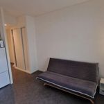 Rent 1 bedroom apartment of 24 m² in Le Mans