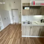 Pronajměte si 1 ložnic/e byt o rozloze 25 m² v Capital City of Prague