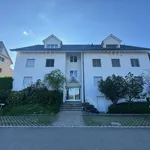 Rent 4 bedroom apartment in Aesch