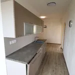 Rent 3 bedroom apartment of 65 m² in Čížkovice