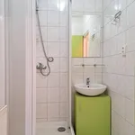 Rent 2 bedroom apartment of 50 m² in Opava