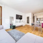 Rent 1 bedroom apartment of 50 m² in Zagreb