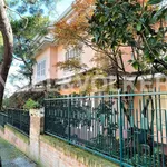 Rent 20 bedroom house of 1 m² in Civitanova Marche