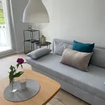 Rent 1 bedroom apartment of 35 m² in Chemnitz