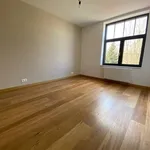 Huur 3 slaapkamer huis van 700 m² in GREZ-DOICEAU