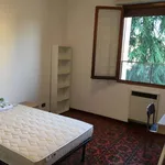 Rent a room in Bologna