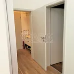 Rent 1 bedroom apartment in Capital City of Prague