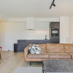 Rent 1 bedroom apartment in Antwerpen