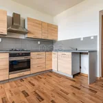 Rent 3 bedroom apartment of 72 m² in Orlová