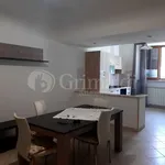 Rent 3 bedroom apartment of 80 m² in Roma