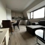 Apartment for rent in Bergweg 42 A, 3701JK, Zeist, Netherlands